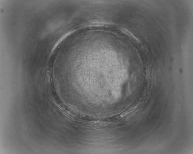 X0000080181208200612221307