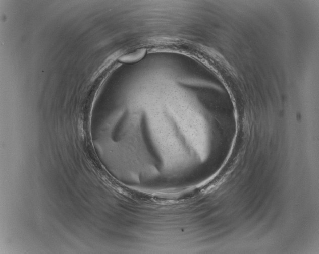 X0000080181209200612221307