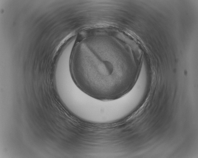 X0000080181210200612221307