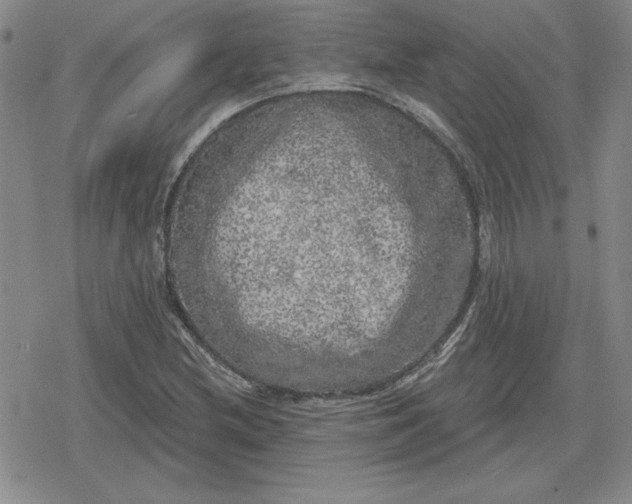 X0000080181212200612221307