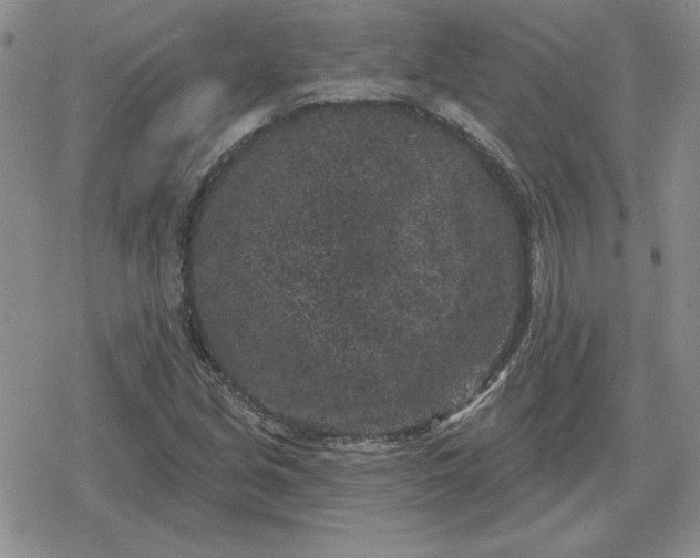 X0000080181213200612221307