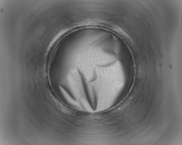 X0000080181216200612221307