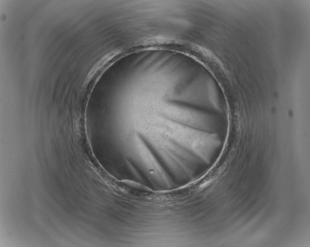 X0000080181217200612221307