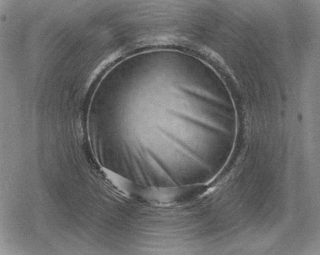 X0000080181218200612221307