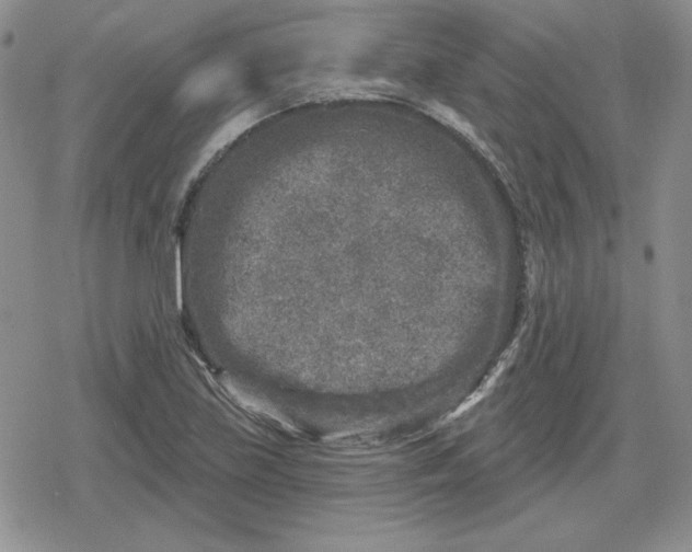 X0000080181219200612221307