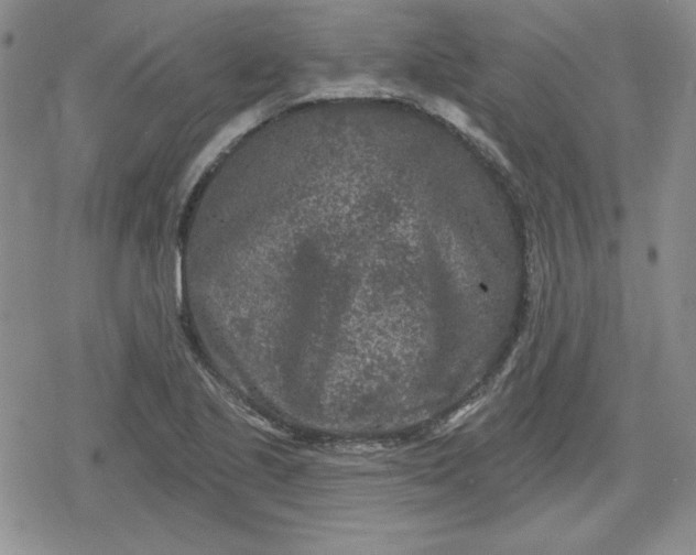 X0000080181221200612221307