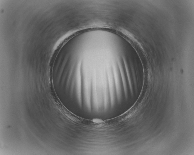 X0000080181222200612221307