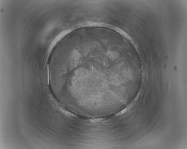 X0000080181223200612221307