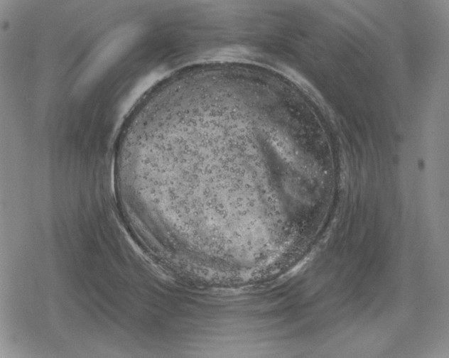 X0000080181224200612221307