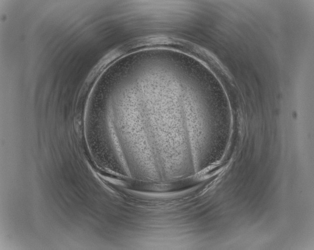 X0000080181225200612221307