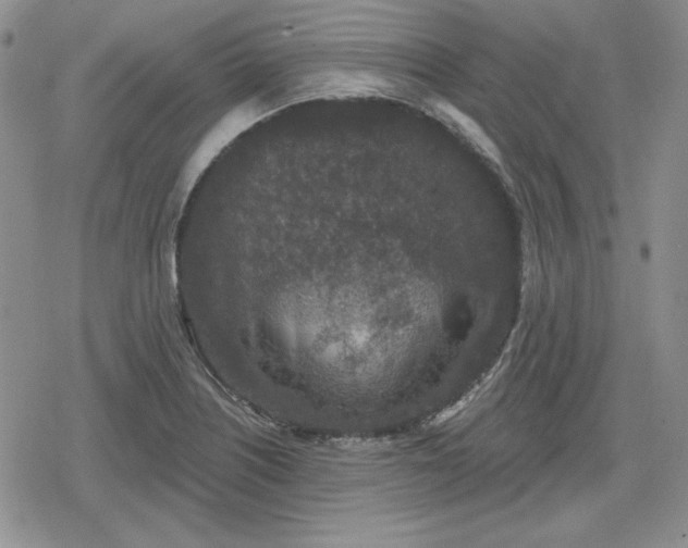 X0000080181226200612221307