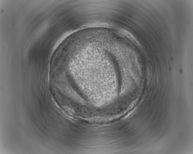 X0000080181228200612221307