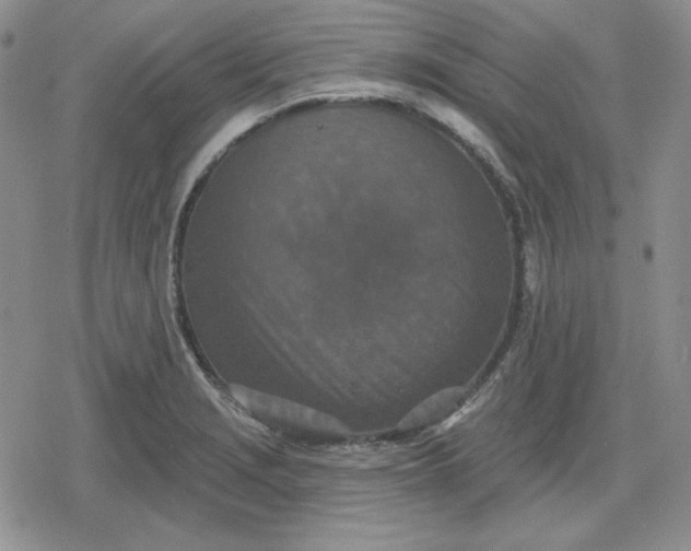 X0000080181229200612221307