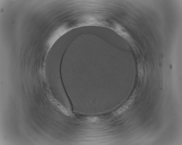 X0000080181230200612221307