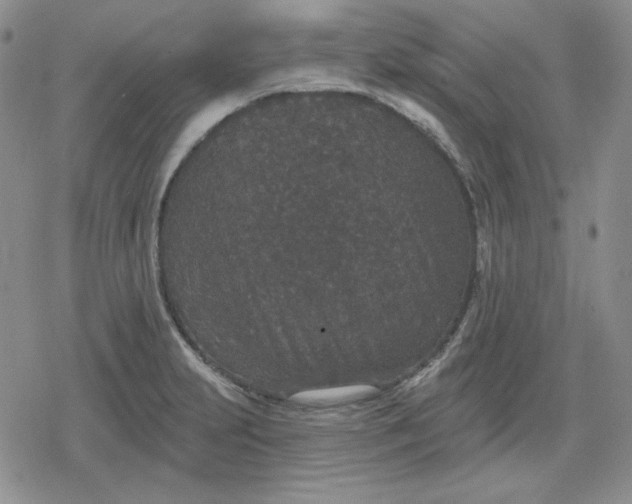 X0000080181231200612221307