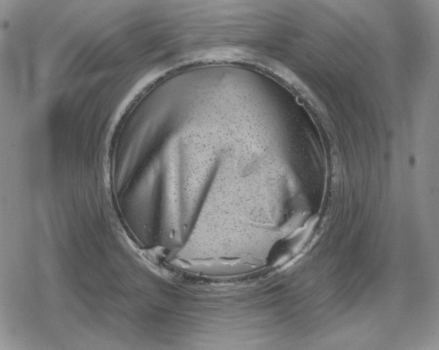 X0000080181232200612221307