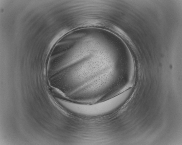 X0000080181234200612221307