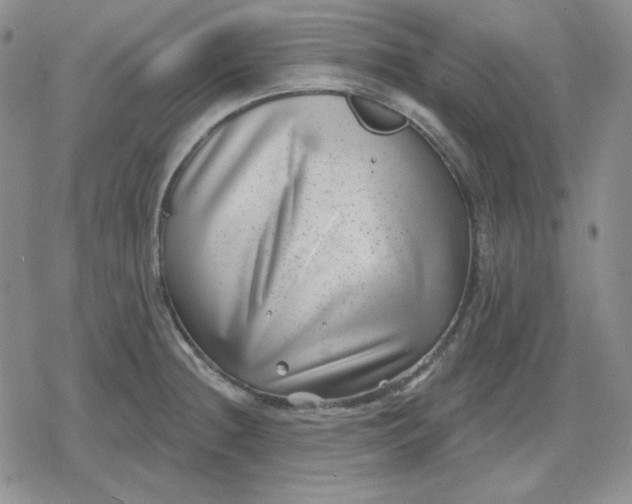 X0000080181236200612221308