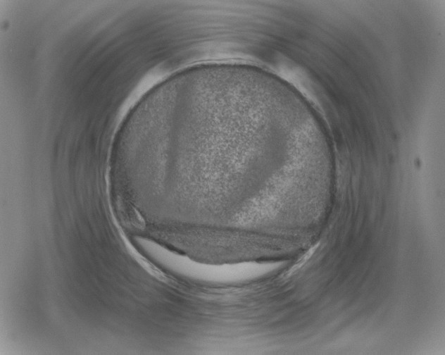 X0000080181237200612221308