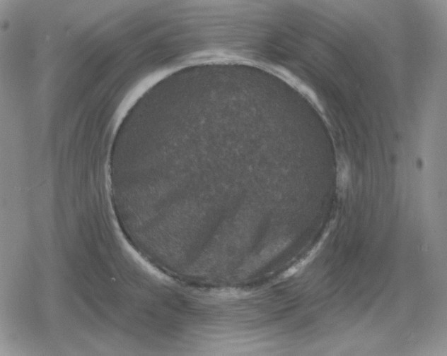 X0000080181239200612221308