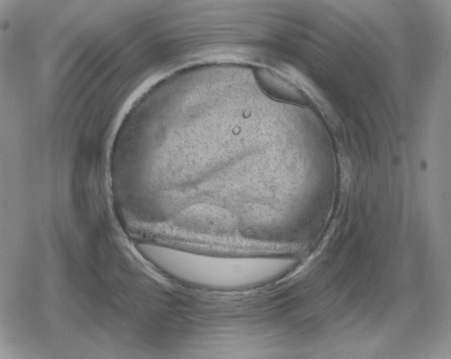 X0000080181240200612221308