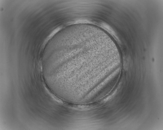 X0000080181241200612221308