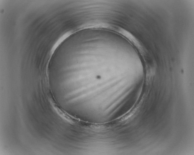 X0000080181242200612221308