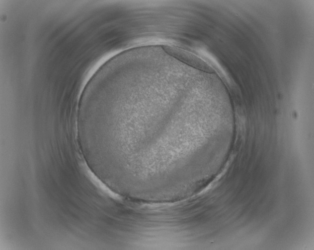 X0000080181244200612221308