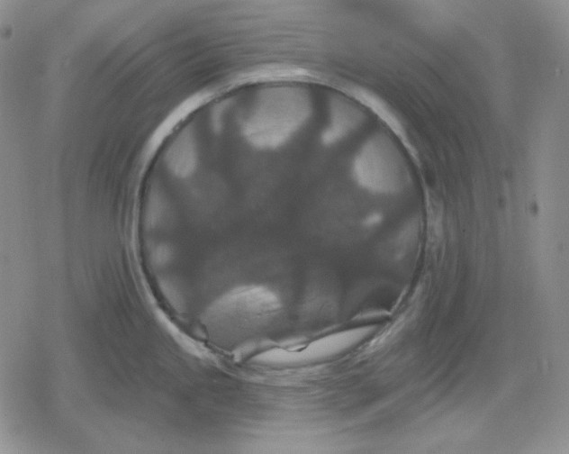 X0000080181245200612221308