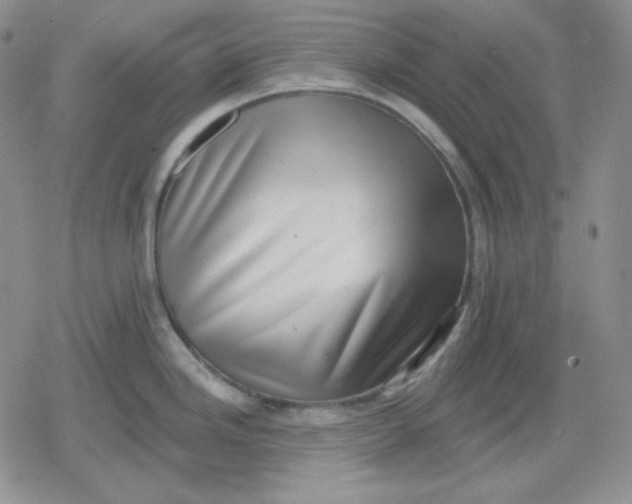 X0000080181246200612221308