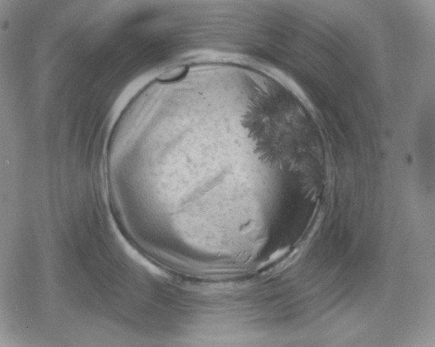 X0000080181247200612221308