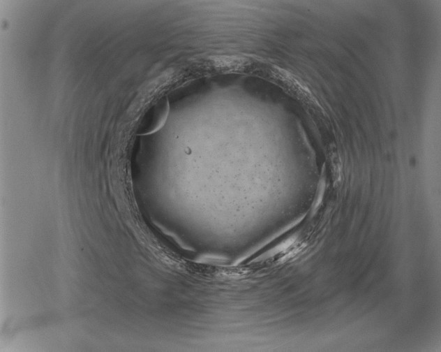 X0000080181249200612221307