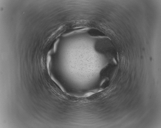 X0000080181250200612221307