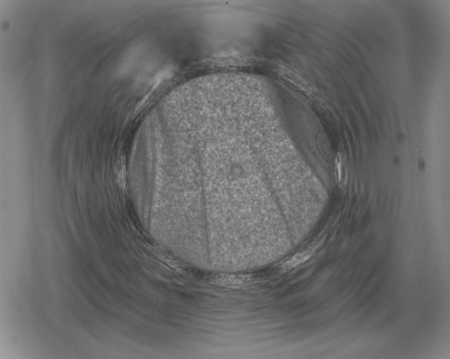 X0000080181251200612221307