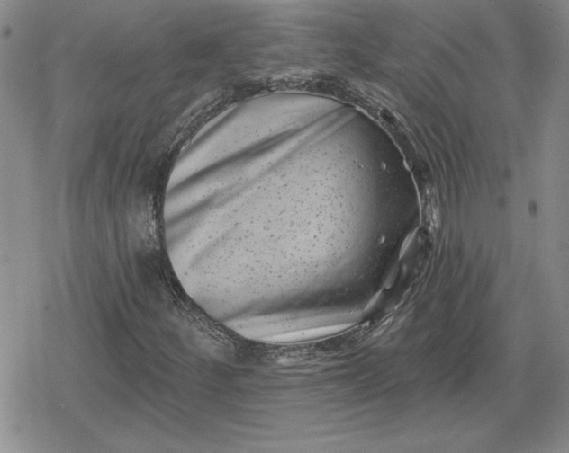 X0000080181252200612221307