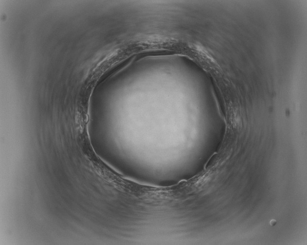 X0000080181253200612221307