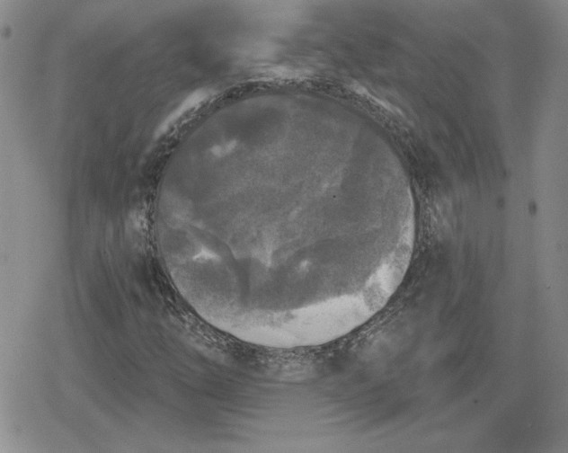 X0000080181254200612221307