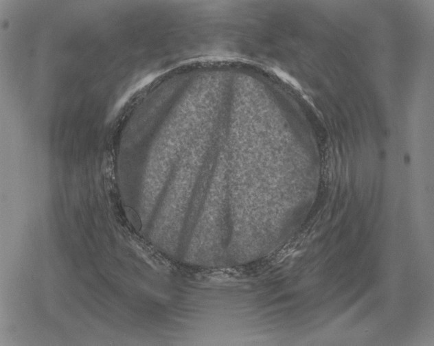 X0000080181255200612221307