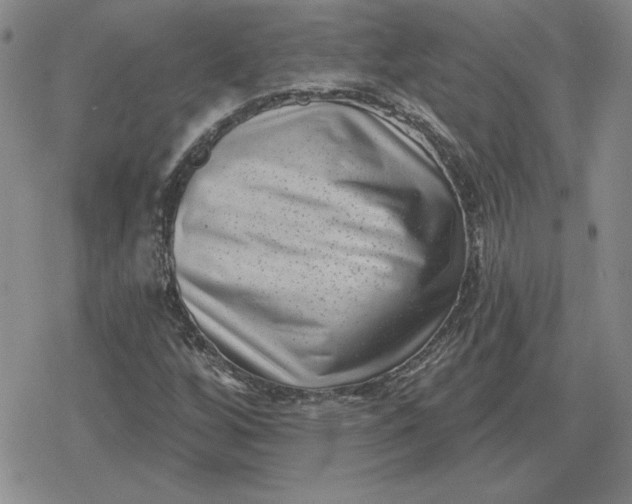 X0000080181256200612221307