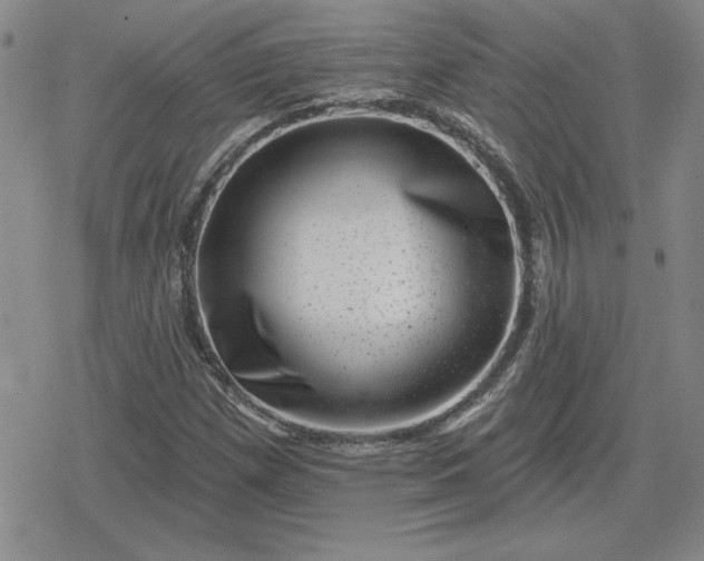 X0000080181257200612221307