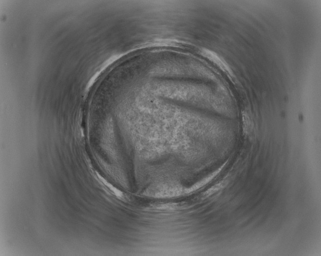 X0000080181260200612221307