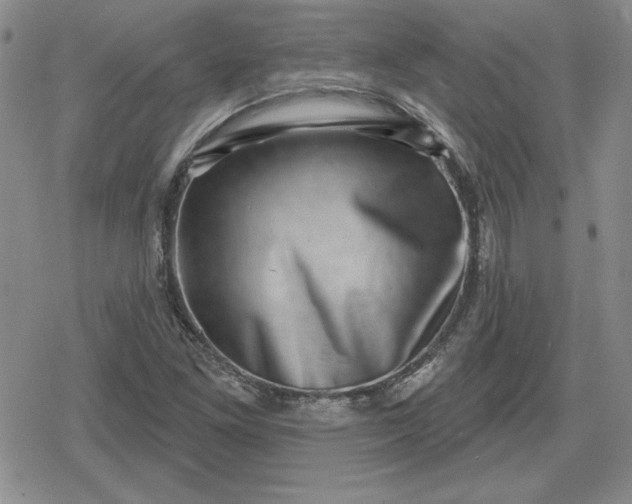 X0000080181261200612221307