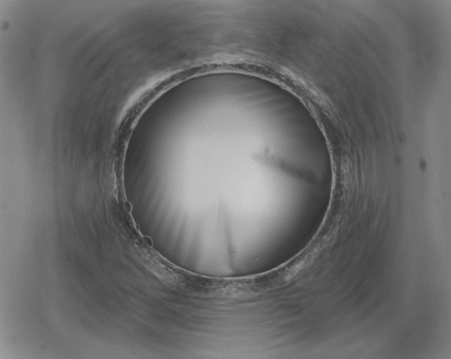 X0000080181262200612221307