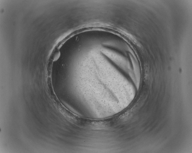 X0000080181264200612221307