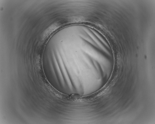 X0000080181265200612221307