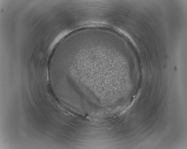 X0000080181267200612221307