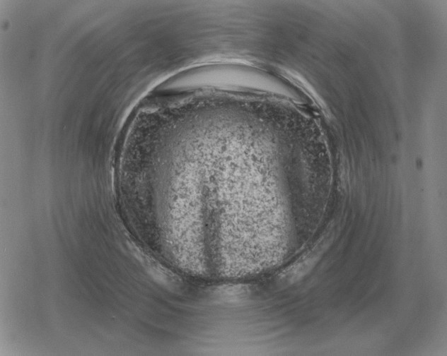 X0000080181268200612221307