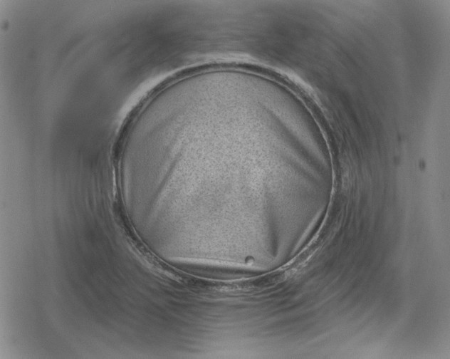 X0000080181271200612221307