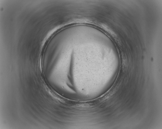 X0000080181272200612221307