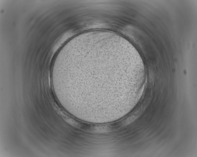 X0000080181274200612221307